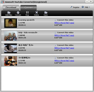 Aneesoft YouTube Converter screenshot